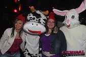 photo 10794401.jpg